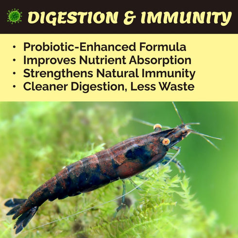 50 ASTAXANTHIN Shrimp Food, Premium Natural Ingredients, High Protein, Rich in Vitamins for Neocaridina, Caridina, Red