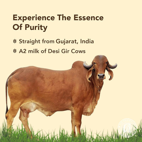 A2 500ML Anveshan Gir Cow Ghee | Grass-Fed | Pasture-Raised | Gut Friendly | Keto Friendly | High Smoke Point |