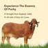 A2 500ML Anveshan Gir Cow Ghee | Grass-Fed | Pasture-Raised | Gut Friendly | Keto Friendly | High Smoke Point |