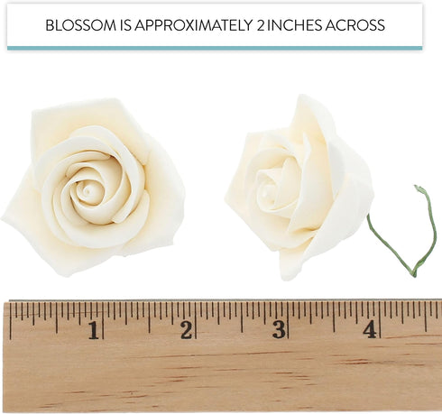 2 Inch, 25 Count Global Sugar Art Peace Rose Sugar Cake Flowers White by Chef Alan Tetreault