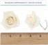 2 Inch, 25 Count Global Sugar Art Peace Rose Sugar Cake Flowers White by Chef Alan Tetreault