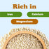 Food to Live Organic Hulled Sesame Seeds, 8 Ounces, Non-GMO, Kosher, Vegan, Perfect for Tahini & Salads
