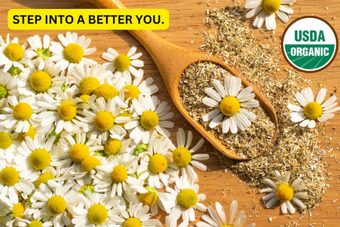 Tozzy Organic Chamomile Tea - 100 Bags | Pure Plant-Based Ingredients | Eco-Conscious Packaging