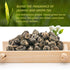 Oriarm 2025 Dragon Pearls Jasmine Green Tea, 250g (8.8 oz) Hand-Rolled Loose Leaf Tea Balls, Floral Aroma