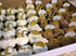 24 PCS Gold Glitter Beer Mug Cupcake Toppers, Food Cake Picks for Party Decor