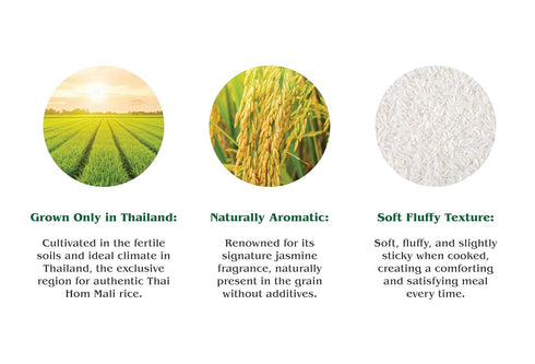 2lbs Queen Elephant Premium Organic White Jasmine Rice Bag | Product of Thailand | USDA Certified Organic, Non-GMO