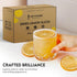 3oz/85gm 50 60 Dried Lemon Slices to Pcs, Citrus Dehydrated Fruit For Cocktails, Lemons For Cocktail and Decor