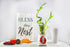 5-Stalk Live Lucky Bamboo Arrangement with Spiral Stalk - Live Indoor Bamboo Plant for Home Decor, Arts & Crafts, Zen