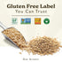 40 GF Harvest Gluten Free Organic Oat Groats, Ounce Bag