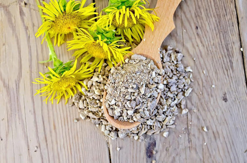 Health Embassy Oman Root | Elecampane Root | Herbal Tea 50g