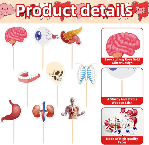 36 Pcs Anatomy Theme Cupcake Toppers, Mini Human Body Organ Toothpick Picks with Brain, Skull, Rib Cage, Eyeball