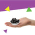 2 Lb Black Licorice Jelly Beans Candy | Bag | Black Jelly Beans Bulk | Old School Candy for Buffets, Snacking & Gifting