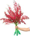 10 Stems Red Ascocenda Orchids Fresh Cut Flowers Gift Birthday anniversary Valentine's