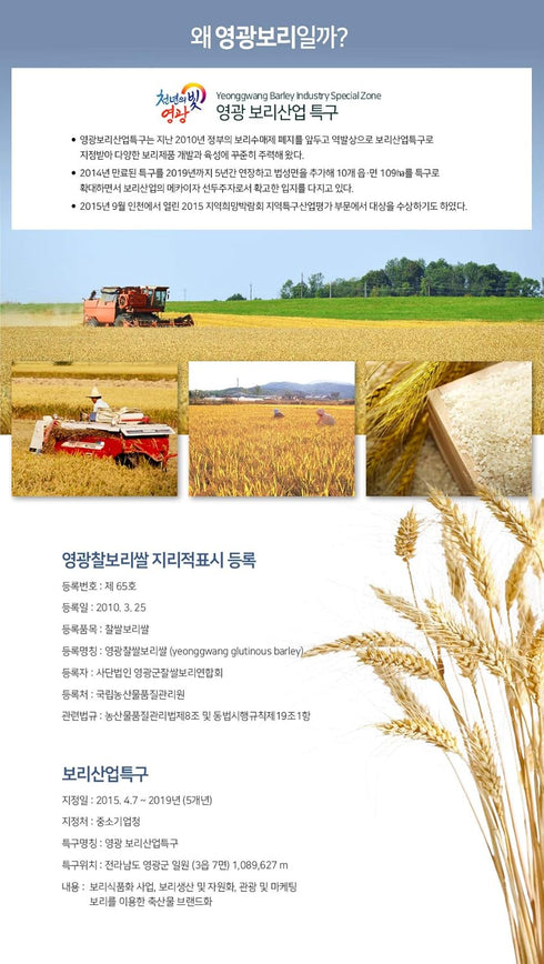 K-Mystery 500g (1.1lb) 100% Organic Malted Barley Flour, , from Korea