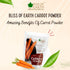 BLISS OF EARTH 2x200gm Carrot Powder All Natural Dehydrated, Pure, Freshly Ground, and Delicious Great for Juice