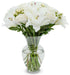 Stargazer Barn White Royale Rose Bouquet with Vase Mothers Day Flowers for