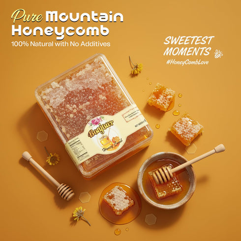 16oz (1Lb) Bonjour Raw Honeycomb - Naturally Prebiotic & Antioxidant-Rich Honey with Honeycomb | Pure Honey Combs Raw