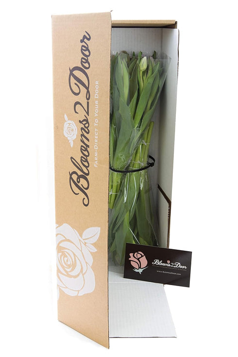Blooms2Door 20 Flowers - Mother's Day Collection - Purple Tulips without vase.Gift for Birthday, Anniversary, Get Well