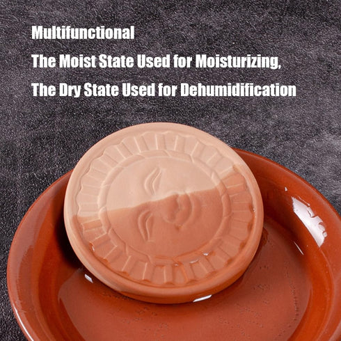 2 Pack HOT SEAL Terracotta Brown Sugar Saver, Sun Smiles Brown Sugar Keeper Disc for Maintain Food Moisture in Storage