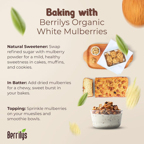 Mulberries Mulberry, 10oz Berrilys Organic Dried - White Non-GMO, Unsulfured, Raw, Kosher, Vegan - Healthy Berries