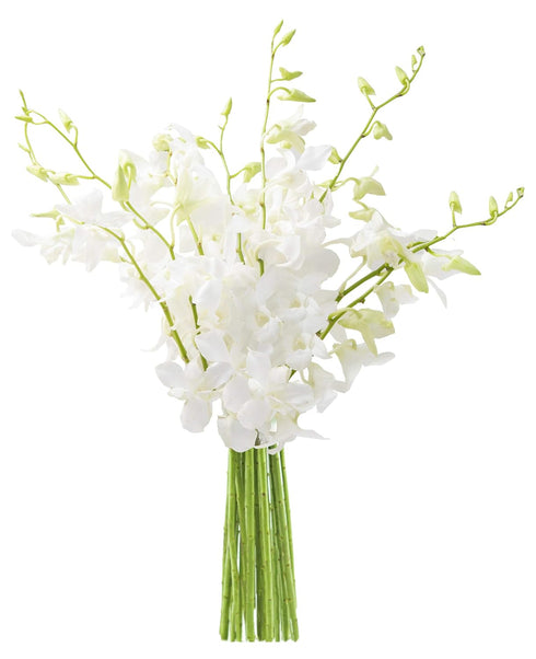 KaBloom - Exotic Perla White Orchid Bouquet of 10 White Orchids Without