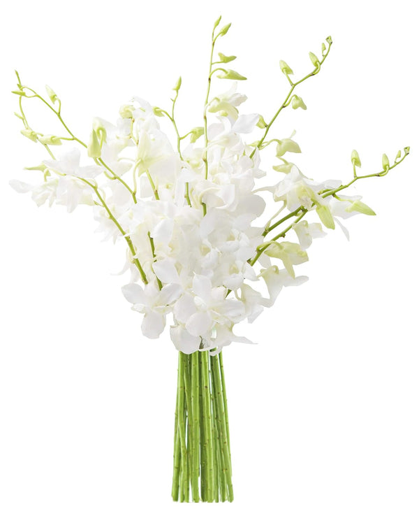 KaBloom - Exotic Perla White Orchid Bouquet of 10 White Orchids Without