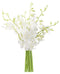 KaBloom - Exotic Perla White Orchid Bouquet of 10 White Orchids Without