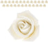 2 Inch, 25 Count Global Sugar Art Peace Rose Sugar Cake Flowers White by Chef Alan Tetreault