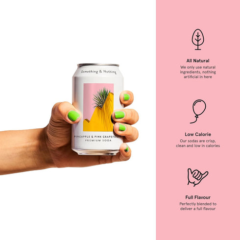 Pack 12 Oz (Pack 12) Something & Nothing Variety Flavoured Sparkling Water | Lightly Carbonated, Full Flavoured
