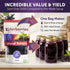 1lb Immune Gummies, Dried Elderberries - Bulk - Dried Mixed Fruits Hand-Sorted, Wildcrafted, Natural, Non-GMO, European