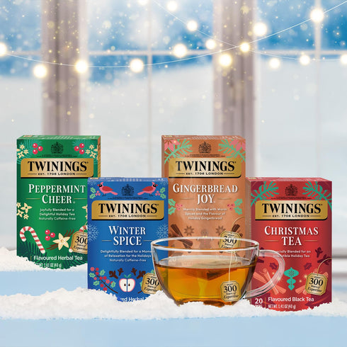 2-Pack 20 Twinings Holiday Sweet & Spicy Tea Variety Caffeinated Tea and Caffeine-Free Winter Spice Herbal, Christmas