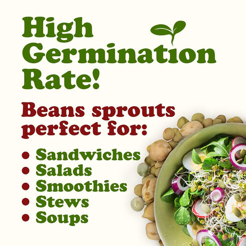 1 Food to Live Rainbow Sprouting Beans Mix, Pound Raw, High Germination Rate, Vegan