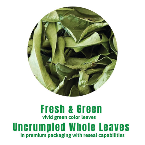 100% 0.53 oz INCAS USDA Organic Makrut Lime Leaves Direct From Thailand Original Authentic Thai Flavor & Citrus Aroma
