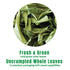 100% 0.53 oz INCAS USDA Organic Makrut Lime Leaves Direct From Thailand Original Authentic Thai Flavor & Citrus Aroma