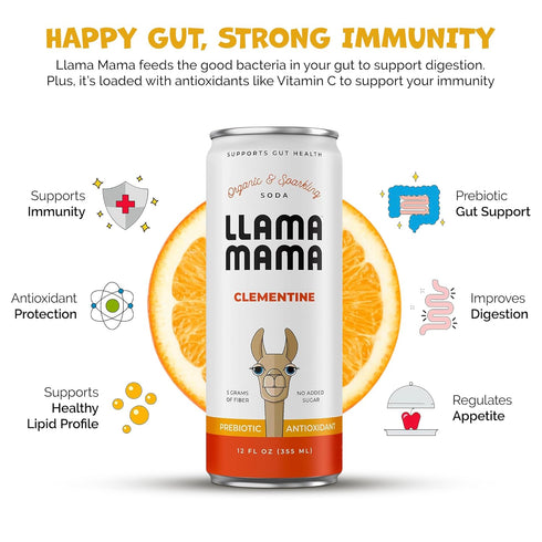 Immune 12 Pack Llama Mama Clementine Organic Sparkling Prebiotic Soda Gut & Support High Vitamin C, Antioxidants NO