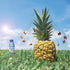 Clear Fruit 12 Pack 20 Water Ounce Bottles Non Carbonated Water Beverage (Strawberry Melon)