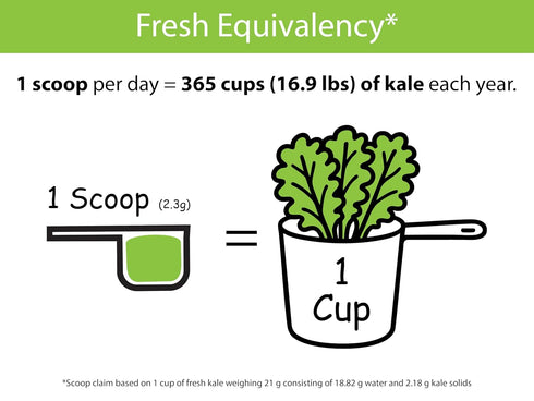 30 KOYAH - Organic USA Kale Powder (Equivalent to Cups Fresh): Freeze-dried, Whole-Leaf Powder