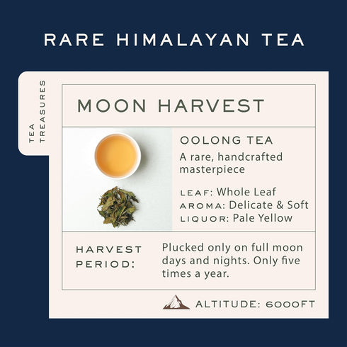 50 Makaibari Silver Tips Imperial Tin Caddy | Award Winning Organic Oolong Handmade Whole Leaf Tea | Grams