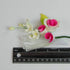 Set 6 Count Global Sugar Art Assorted Small Sugar Cake Flowers Floral Sprays, A, by Chef Alan Tetreault