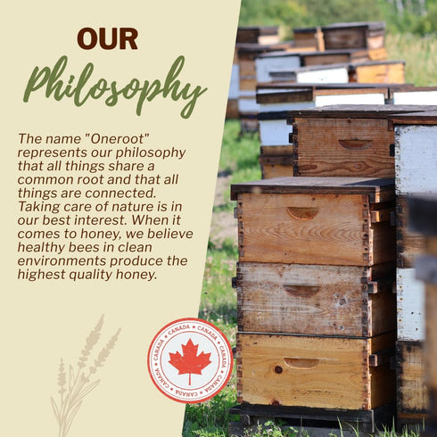 500g 17.6oz, Antioxidant-Packed OneRoot Raw Buckwheat Honey / Unheated & Unprocessed Dark Nutrient-Rich, Natural