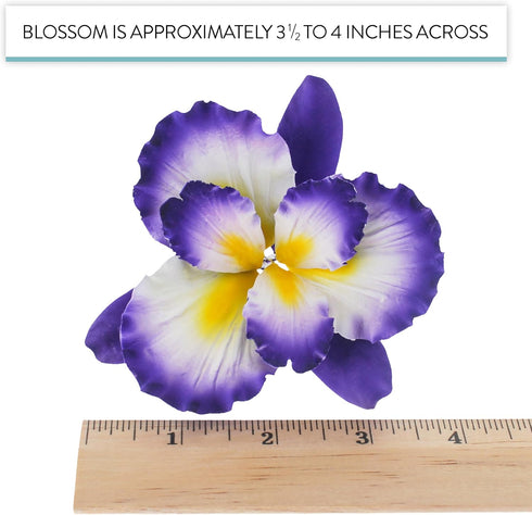 1 Count Global Sugar Art Dutch Iris Sugar Cake Flowers, Purple with Yellow Center by Chef Alan Tetreault