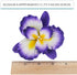 1 Count Global Sugar Art Dutch Iris Sugar Cake Flowers, Purple with Yellow Center by Chef Alan Tetreault