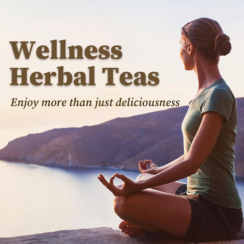 60 FullChea - Ginseng Tea bags, Teabags - Pure Ginseng Root Tea - Caffeine-Free Herbal Tea with Wellness Support