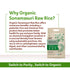(10 lbs) Organic Tattva Sonamasuri Rice - Organic Medium Grain Rice - Lightweight - Natural Aroma - No Additive - Vegan