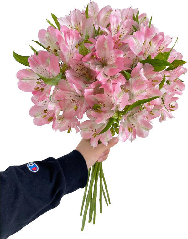 Affordable 10 Stems Random Color Alstroemeria Fresh Cut Flowers Home Decor Gift