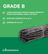 10 Count Slofoodgroup - Madagascar Vanilla Beans - Extract Grade B Vanilla Pods - - Extraction Grade Bourbon Vanilla