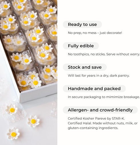 36 Count (3/4 Inch) Edible Daisy Cake Decorations, Mini Edible Flowers, White & Pink Sugar Flowers, Daisy Cupcake