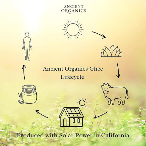 9 Oz (Pack 2) Ancient Organics Ghee - Organic Grass Fed Ghee Butter, Gluten Free, Clarified Butter, Vitamins & Omegas
