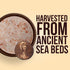 1 Lb (12 Pack 12 Lbs) Good Tierra Himalayan Pink Salt Pouch - Extra-Fine Grain - - - Kosher - Non GMO