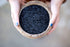 15 Lotus Foods, Rice Heirloom Forbidden Black, Ounce